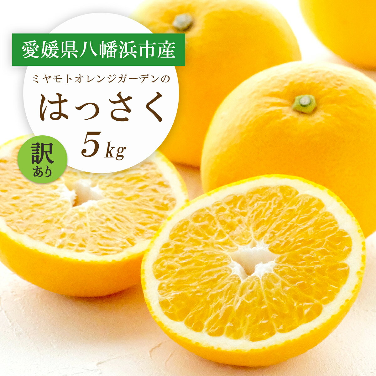 【ふるさと納税】【先行受付】ぷりぷり!酸味さわやか 八朔(はっさく) 5kg【訳あり】【C25-188】_【1609989】YWTAP129