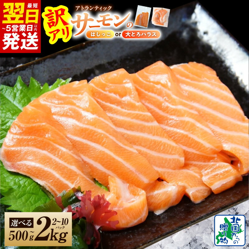 【ふるさと納税】【訳あり】アトランティックサーモン 選べる 種類 内容量 はしっこ 約500g / 約1kg 大とろハラス 600g / 1kg / 1.6kg / 2kg 脂乗り 小分け 刺身 塩焼き 照り焼き 味噌漬け焼き 鮭 魚介 海鮮 冷凍 最短 翌日発送 5営業日 大阪府 泉佐野市 送料無料