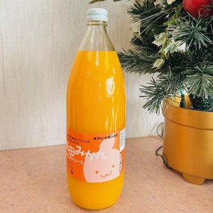 ［無添加］有田みかん100%のジュース1,000ml×2本 みかんジュース 濃厚 柑橘 果物 フルーツ 甘い 100％ストレートジュース ［MS132］