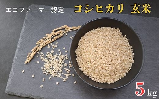 
            令和7年産 新米　【エコファーマー認定】 コシヒカリ 玄米 5kg ／ 米 こめ コメ ごはん ご飯 お米 おこめ 玄米 新米 エコファーマー認定 5kg 令和7年 千葉県 東庄町 産地直送
          