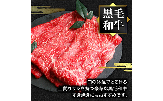 【お肉の食べ比べ】 熊本県産 和牛 馬肉 しゃぶしゃぶ 食べ比べ セット 計900g スライス ＜ 黒毛和牛 200g / あか牛 200g / 馬肉 500g ＞ 冷凍 058-0685