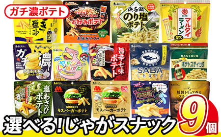 ＜訳あり＞ 訳アリ じゃがスナック ガチ濃ポテト (9袋×43g) 簡易梱包 お菓子 おかし スナック おつまみ ポテト ガーリック バター ガーリックバター 濃い 送料無料 常温保存 【man218