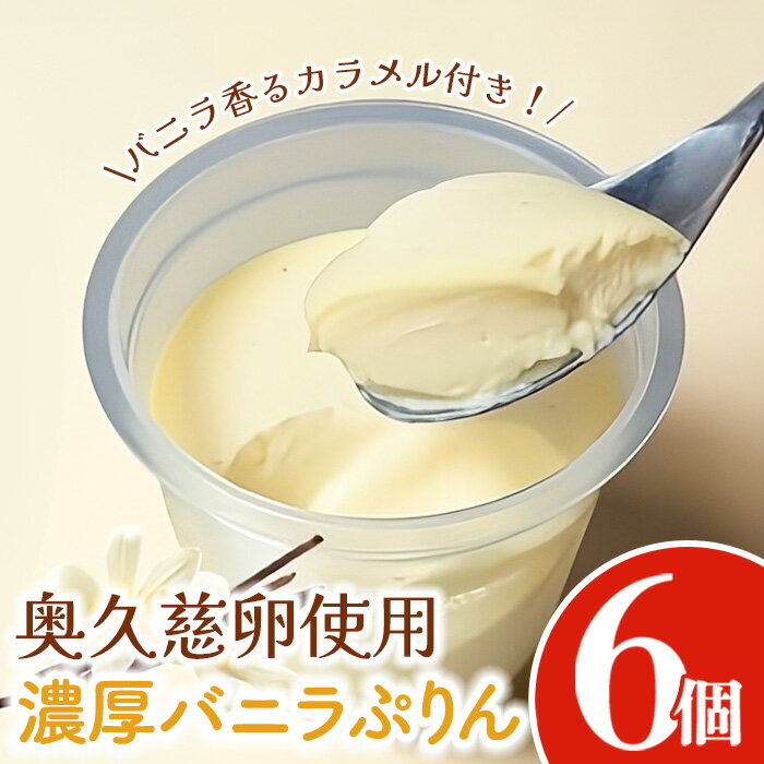 【ふるさと納税】奥久慈卵使用 濃厚バニラぷりん 6個セットとバニラ香るカラメル ぷりん 冷蔵 おやつ デザート たまご 贈り物 グルメ バニラ プレゼント 洋菓子 プリン スイーツギフト 詰め合わせ 誕生日 内祝い 【奥久慈卵専門店ぷりん堂】【ho1700】