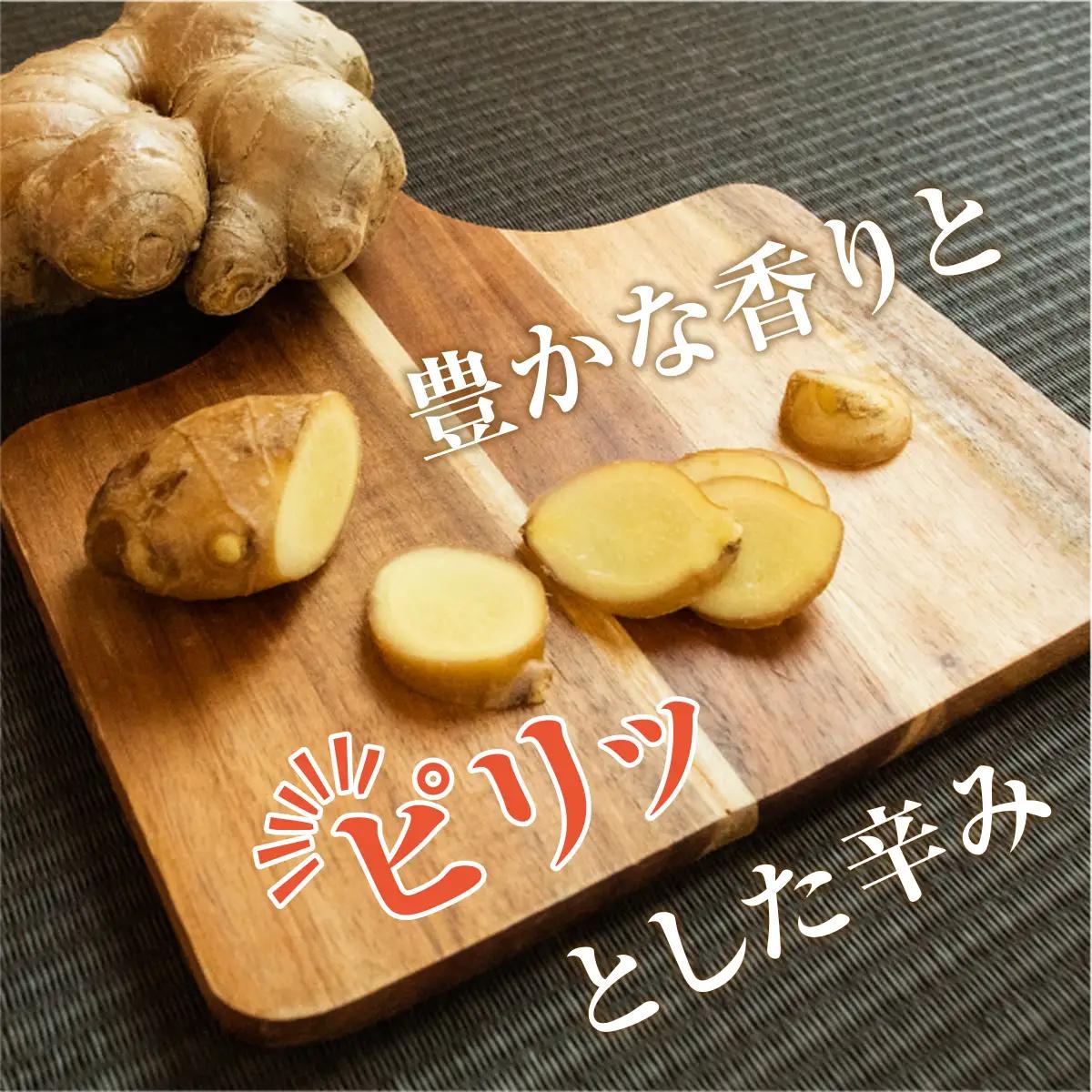 生姜 小分け 100g×5袋　高知県産 しょうが 国産 囲い生姜 使い切りサイズ 低農薬 お試し