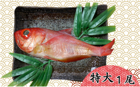 金目鯛 銚子産つりきんめの姿煮 1尾 金目鯛