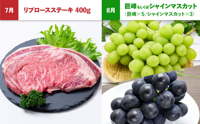 【4回定期便】長崎和牛と旬のフルーツが楽しめる バラエティ定期便 / フルーツ定期便 果物定期便 肉定期便 牛肉 びわ メロン ぶどう みかん / 南島原市 / 贅沢宝庫 [SDZ056]
