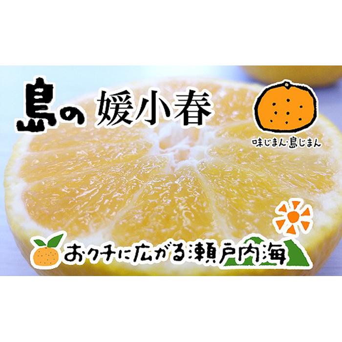 【ふるさと納税】 【2026年3月上旬から発送】 媛小春 2kg 愛媛 中島産 | 愛媛 みかん 先行予約 蜜柑 柑橘 果物 くだもの フルーツ お取り寄せ グルメ 期間限定 数量限定 人気 おすすめ 愛媛県 松山市