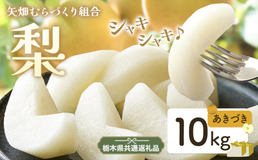 N10 梨 なし あきづき 10kg フルーツ 先行予約 矢畑むらづくり組合《9月上旬-9月下旬頃出荷》 栃木県【栃木県共通返礼品　栃木県産】【配送不可地域あり】(離島)