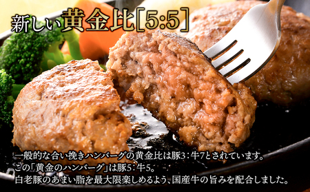 【定期便12ヶ月】国産100％白老合挽ハンバーグ150g×24 BV030