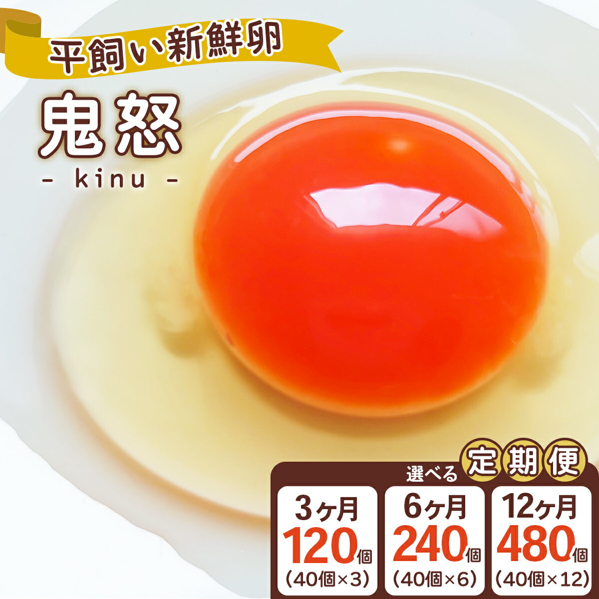 【ふるさと納税】[定期便] 平飼い新鮮卵「鬼怒」1回あたり40個 選べる回数 3回／6回／12回 白身も美味い！｜定期便 日光市産 平飼い卵 こだわり卵 たまご 玉子 生卵 鶏卵 [0723-0726]