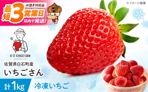 【スピード発送】冷凍いちご（いちごさん）1kg【8/12ICHIGOFARM】スピード発送 最短3営業日以内 いちご イチゴ 苺 いちごさん 冷凍いちご 冷凍イチゴ 国産 佐賀県 果物 フルーツ アイス 冷凍フルーツ 冷凍便 果物 スムージー くだもの 1kg 佐賀 白石 白石町 [IBR004]
