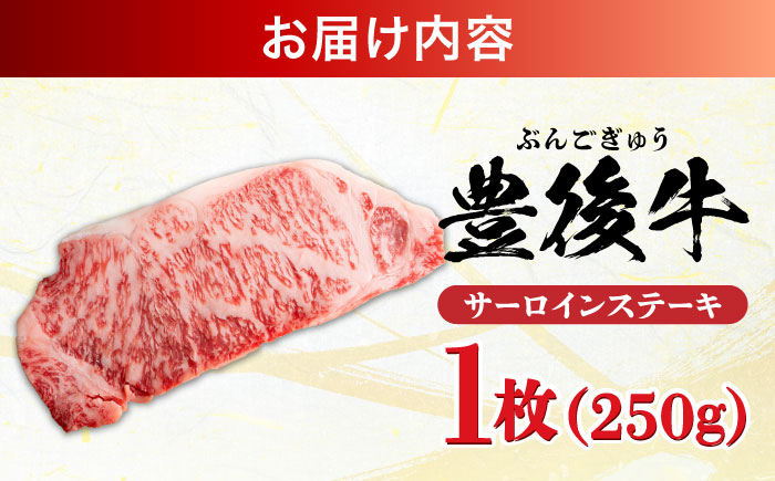 おおいた豊後牛 サーロインステーキ 250g (250g×1枚) 日田市 / 株式会社MEAT PLUS　肉 牛肉 和牛 [AREI006] 【単品】250g(1枚)