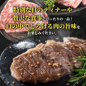 鹿児島県産 黒毛和牛 サーロインステーキ 計約360g 約180g×2枚 冷凍 【スターゼン】 i1003