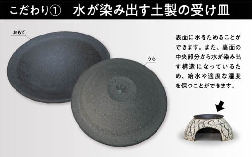 トカゲの家 ウェットシェルター 水色 爬虫類 | ペット トカゲ とかげ ペット用品 爬虫類用 シェルター 隠れ家 飼育用品 家 カビ抑制 観察 陶器 おしゃれ おうち デザイン 飼育 黒地 レオパー