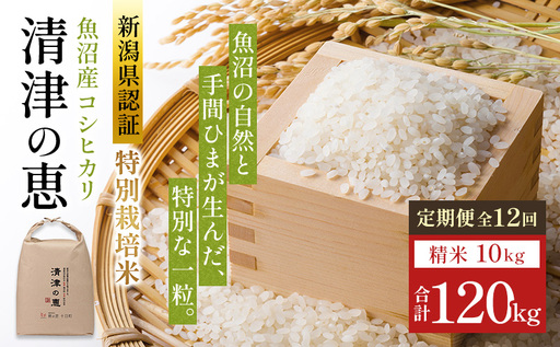 【令和8年産 先行予約】〈定期便〉魚沼産特別栽培米コシヒカリ［清津の恵］精米10kg（5kgx2袋）全12回