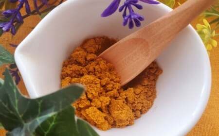 四万十鶏のからあげ＜カレー屋さんのカレー味＞ （約170g×5袋）〔冷凍〕［1639］