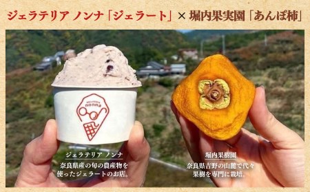 【 堀内果実園 】 あんぽ柿 ジェラート 4個 [ 酒 クリームチーズ 大納言 ほうじ茶 ] | フルーツ くだもの 柿 かき カキ 柿 あんぽ柿 アイス スイーツ ジェラート 奈良県 五條市 デザー