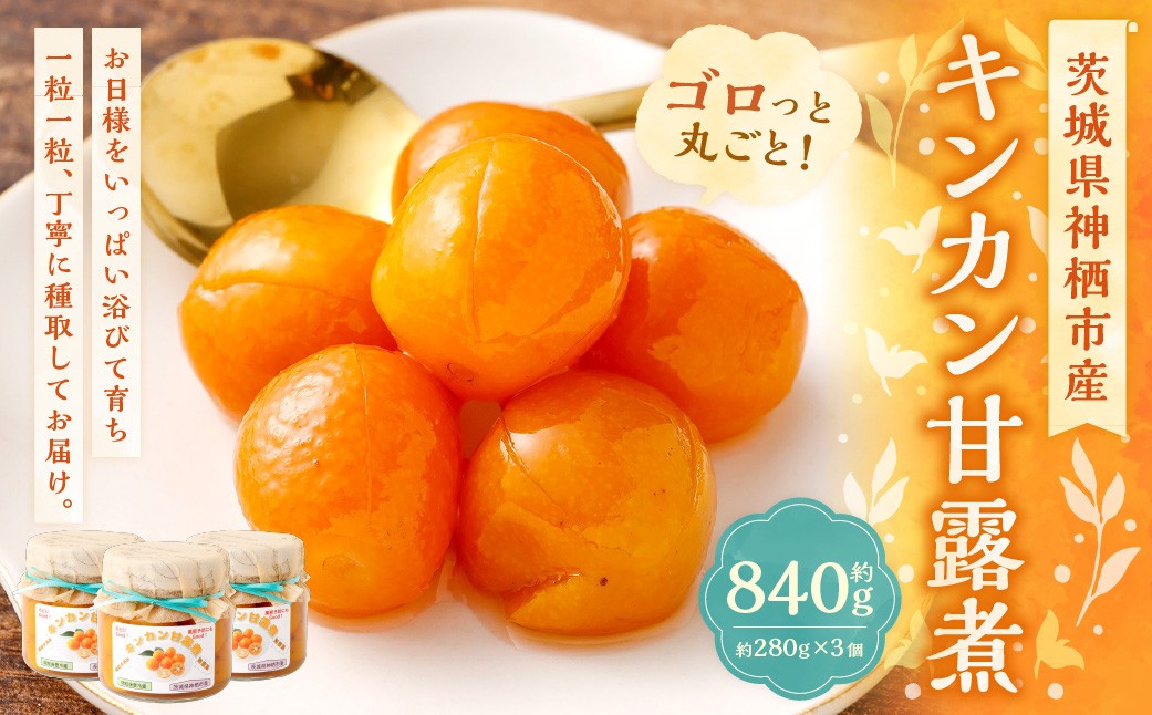 
                  キンカン甘露煮 280g × 3個セット きんかん 金柑 キンカン 果物 くだもの フルーツ 果実 甘露煮 シロップ 甘み 柑橘 プレゼント
                