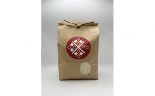 [令和7年産]  南魚沼産こしひかり5kg