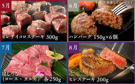【全12回定期便】佐賀牛 プレミアムコース（2人前） 【がばいフーズ】[HCS122]