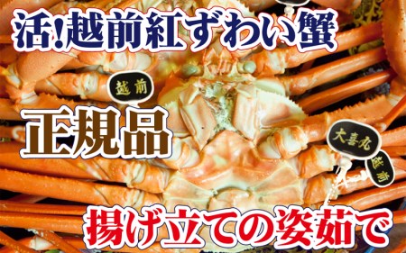 活！越前 紅ずわいがに × 1杯 旨味満点！！【2月発送分】【紅ズワイガニ 紅ずわい蟹 かに カニ 蟹 姿 生 ボイル 冷蔵 福井県】【浜茹でお届け】希望日指定不可 [e37-x002_02b]