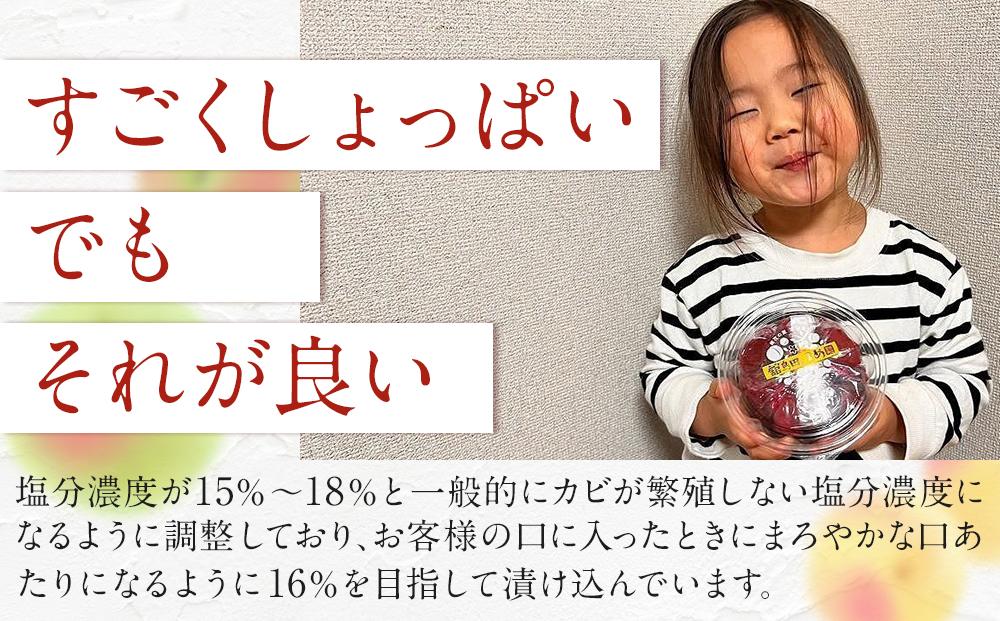 【ふるさと納税】宮城県角田産【無添加】まごころ手作り梅干し(270g)×2個