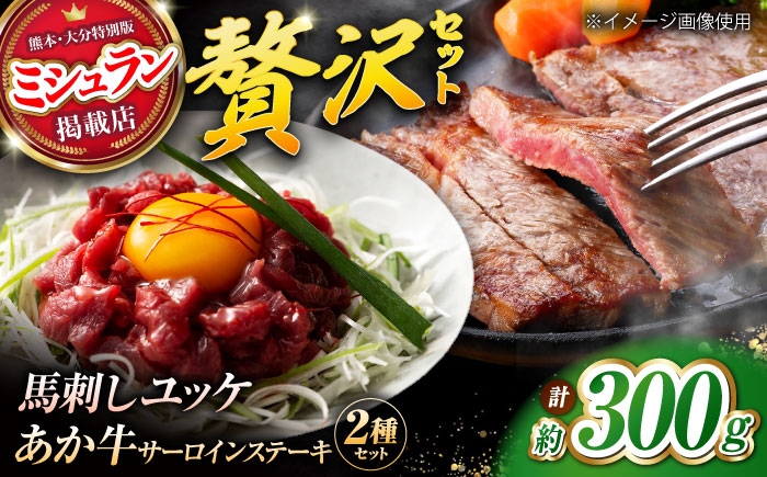 
            くまもとあか牛サーロインステーキと厳選馬刺しユッケ贅沢セット 計約300g【有限会社 スイートサプライなかぞの】 [ZBV093]
          