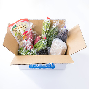 野菜 卵 【旬のお野菜＋産みたて濃厚卵6個の大満足セット】道の駅松浦海のふるさと館【A8-039】