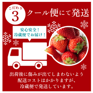 【朝採れ】紅ほっぺ 中粒 1200g  400g × 3 パック  森木農園 静岡県 牧之原市