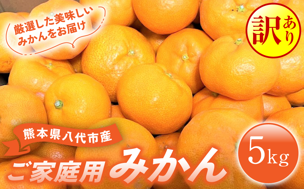 【先行予約】 【訳あり】 熊本県八代市産 ご家庭用みかん5kg 蜜柑 柑橘 ミカン 【2025年9月下旬より順次発送】