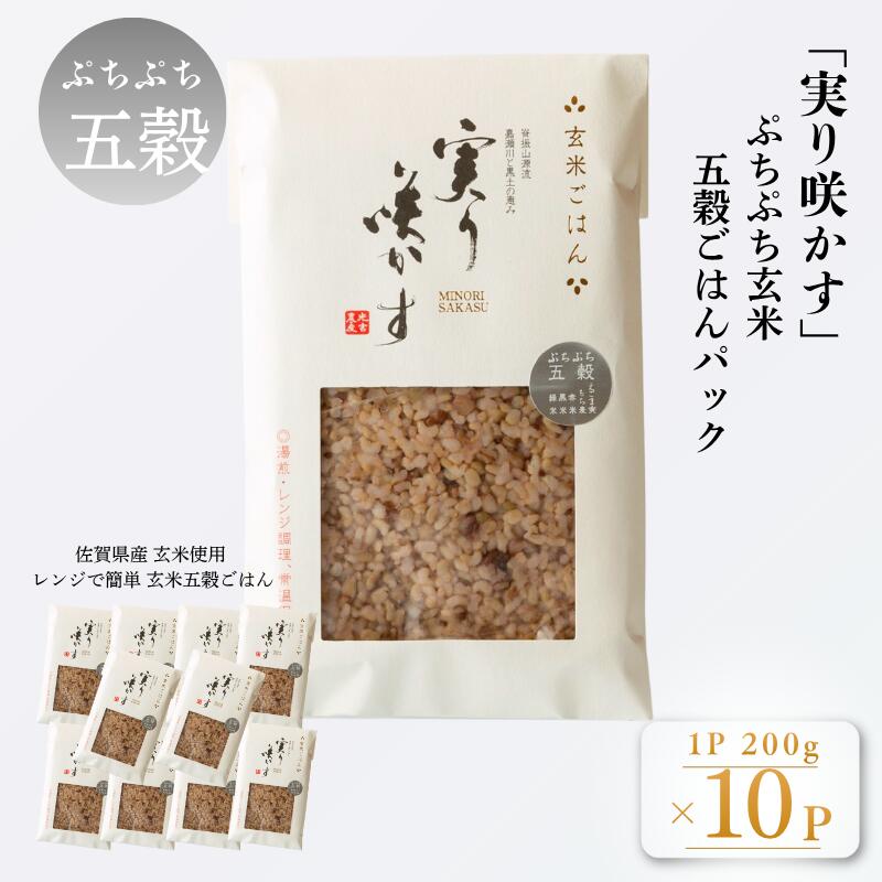 【ふるさと納税】「実り咲かす」ぷちぷち玄米五穀ごはん（10P）：B205-015