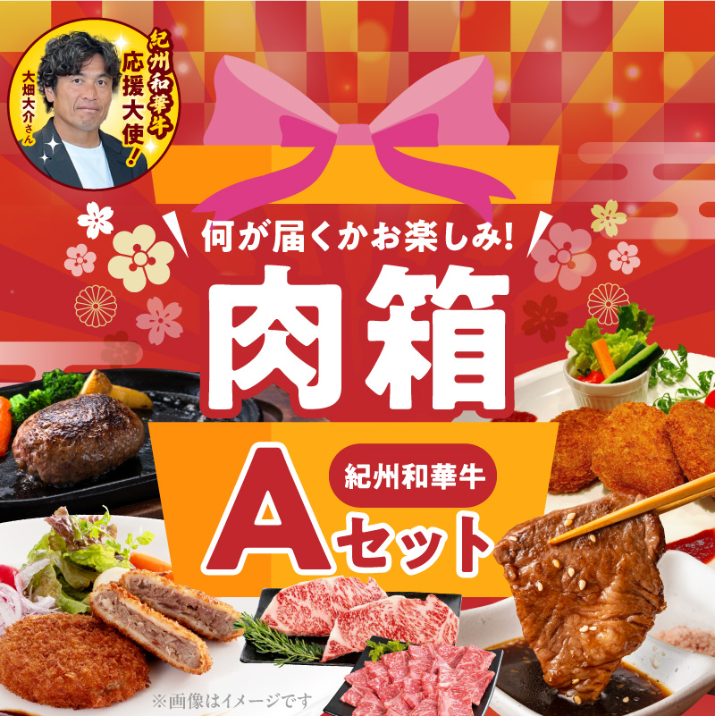 BN6134_お楽しみ肉箱　Aセット