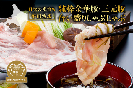 日本の米育ち平田牧場純粋金華豚・三元豚合い盛りしゃぶしゃぶ