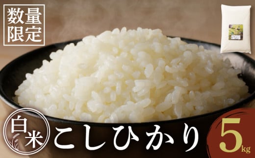 先行予約≪都農町産≫新米コシヒカリ(5kg) 米 お米 ご飯 国産_T031-001