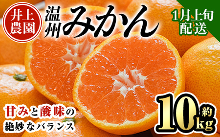 ＜先行予約受付中！1月上旬より順次発送予定＞数量限定 大分県宇佐市産 温州みかん(約10kg)みかん ミカン 蜜柑 柑橘 フルーツ 果物 くだもの 果実 国産【103620700】【井上農園】