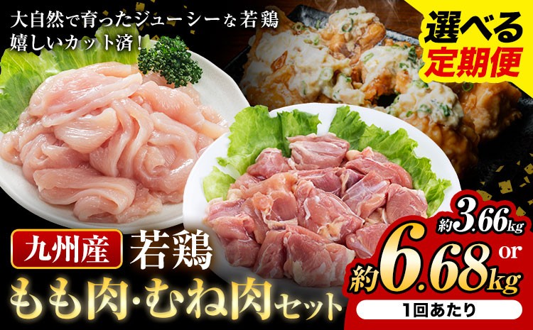 
                  選べる 定期便 九州産若鶏もも肉（310g 6袋 または 8袋）・むね肉（600g 3袋または 7袋）セット 鶏肉 お肉 モモ肉 もも肉 ムネ肉 むね肉 2種類 小分け 冷凍 九州産 国産 熊本県 菊池市 送料無料《お申込み翌月から出荷》
                