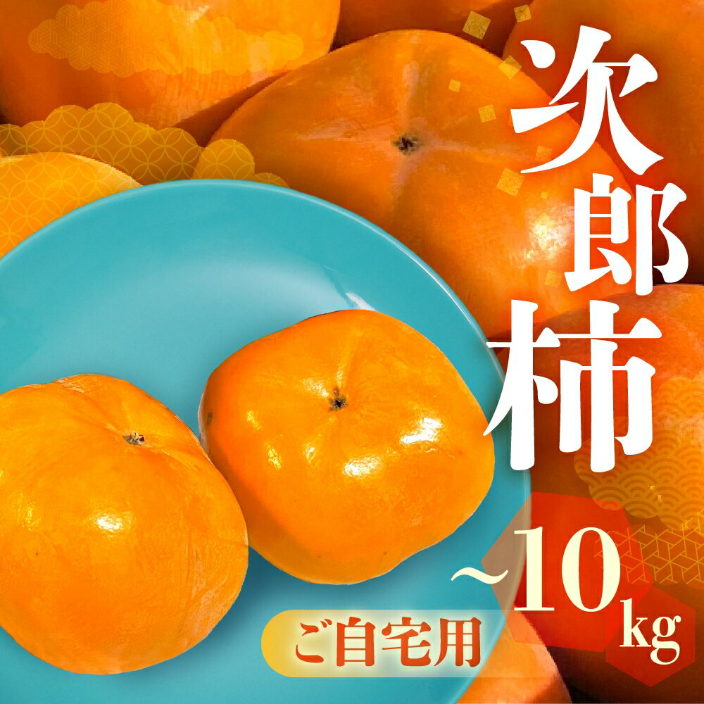 【ふるさと納税】≪先行予約≫ 生産量日本一 愛知県豊橋産 次郎柿 ご自宅用 選べる 内容量 3kg 6.5kg 10kg 柿 訳あり 不揃い 甘柿 果物 フルーツ 10月 11月 愛知県 豊橋市 ビタミンC 高栄養価 食物繊維 旬をおとどけ