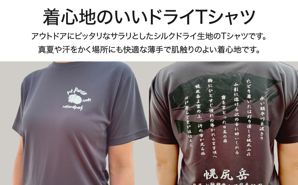 【日本百名山】【2026年限定】幌尻岳記念山詩Tシャツ（グレー Lサイズ） BRTJ042
