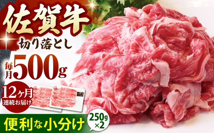 
            【全12回定期便】佐賀牛 切り落とし 500g  ( 250g×2パック ) 【山下牛舎】 [HAD158] 小分け 真空パック 黒毛和牛 牛肉
          
