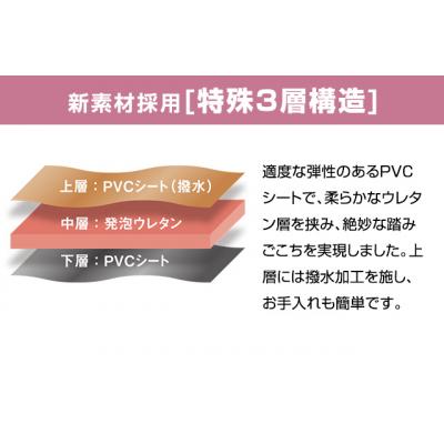 ふるさと納税 加西市 期間限定寄附額 [ ドクター マット LL 雲 ] キッチンマット 厚手 [No5698-2296] |  | 02