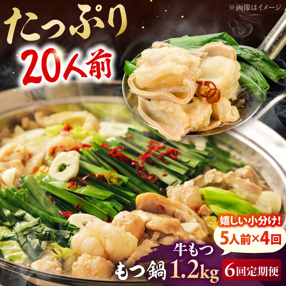 【ふるさと納税】【全6回定期便】もつ鍋セット 5人前×4回分 合計20人 ▼ モツ鍋 ホルモン鍋 醤油 冷凍 鍋 美味しいお取り寄せ 人気 おすすめ 高評価 桂川町/株式会社チクゼンヤ[ADBZ055] 70000 以上 70000円 以上 7万円 以上