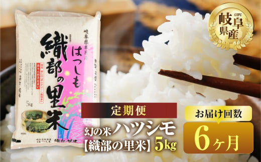 【令和7年産】【6回  定期便 】 ハツシモ 5kg × 6回【織部の里米(R)】 米 こめ ごはん 白米 岐阜県産 本巣市 お米 精米  寿司 幻の米 岐阜県産 もとすファーム