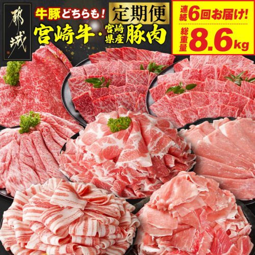 ≪6回連続お届け≫とにかくお肉大好き!宮崎牛と宮崎県産豚定期便M(総重量8.6kg)_T96-6-N201