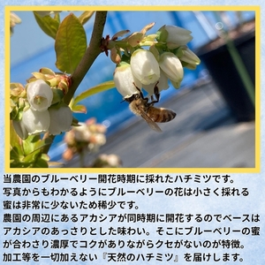 長野県産はちみつ 300g（純粋・非加熱・天然100%） 信州 佐久市 無添加 国産 アカシア 蜂蜜 ハニー パン ヨーグルト 希少 ブルーベリー はちみつ