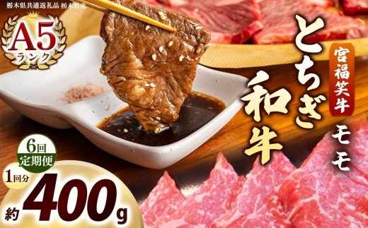 [定期便6回]宮福笑牛(とちぎ和牛) A5 モモ焼き肉 約400g｜数量限定 黒毛 和牛 お肉 栃木県共通返礼品 栃木県産