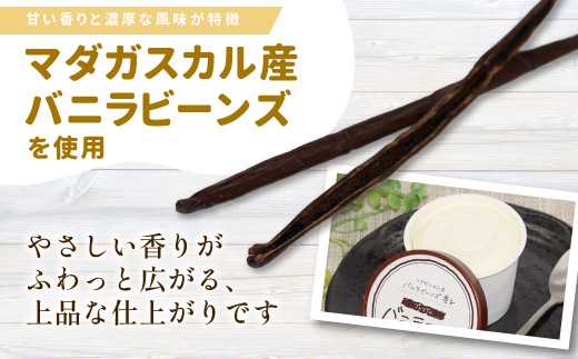 《7月末で受付終了》〈スピード発送〉バニラアイス＆紅ほっぺいちごアイス 16個入り 80ml  アイスクリーム アイス バニラ 苺 紅ほっぺ いちご 根羽村 ネバーランド 12000円