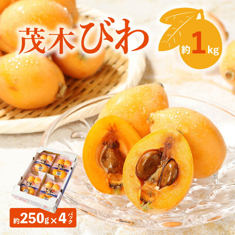 【ふるさと納税】茂木びわ 約1kg (約250g×4パック)【2026-5月中旬～2026-6月中旬配送】 | びわ 果物 フルーツ 青果物 青果 農産物 果実 果汁 アレンジ ゼリー ジャム 自宅用 家庭用 贈答 贈り物 ギフト プレゼント ご褒美 お取り寄せ お取り寄せグルメ 生鮮 生鮮食品 瀬戸内