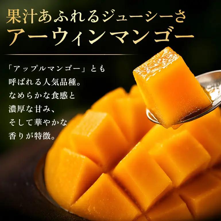 ぼうけんの国 宝石マンゴー 【秀品】アーウィンマンゴー エメラルドclass 約1kg ku01-003