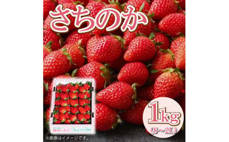 いちご さちのか 1kg 【 いちご 】 先行予約