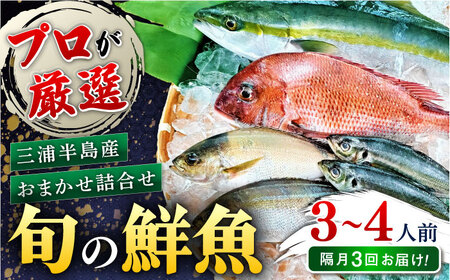 【全3回 隔月 定期便】旬のおまかせ 厳選鮮魚セット 3~4人前(2~3魚種)  魚 鮮魚 さかな 魚 鮮魚 さかな 魚  【長井水産株式会社】 [AKAJ017]